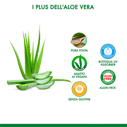 Buon Aloe Vera 95%
