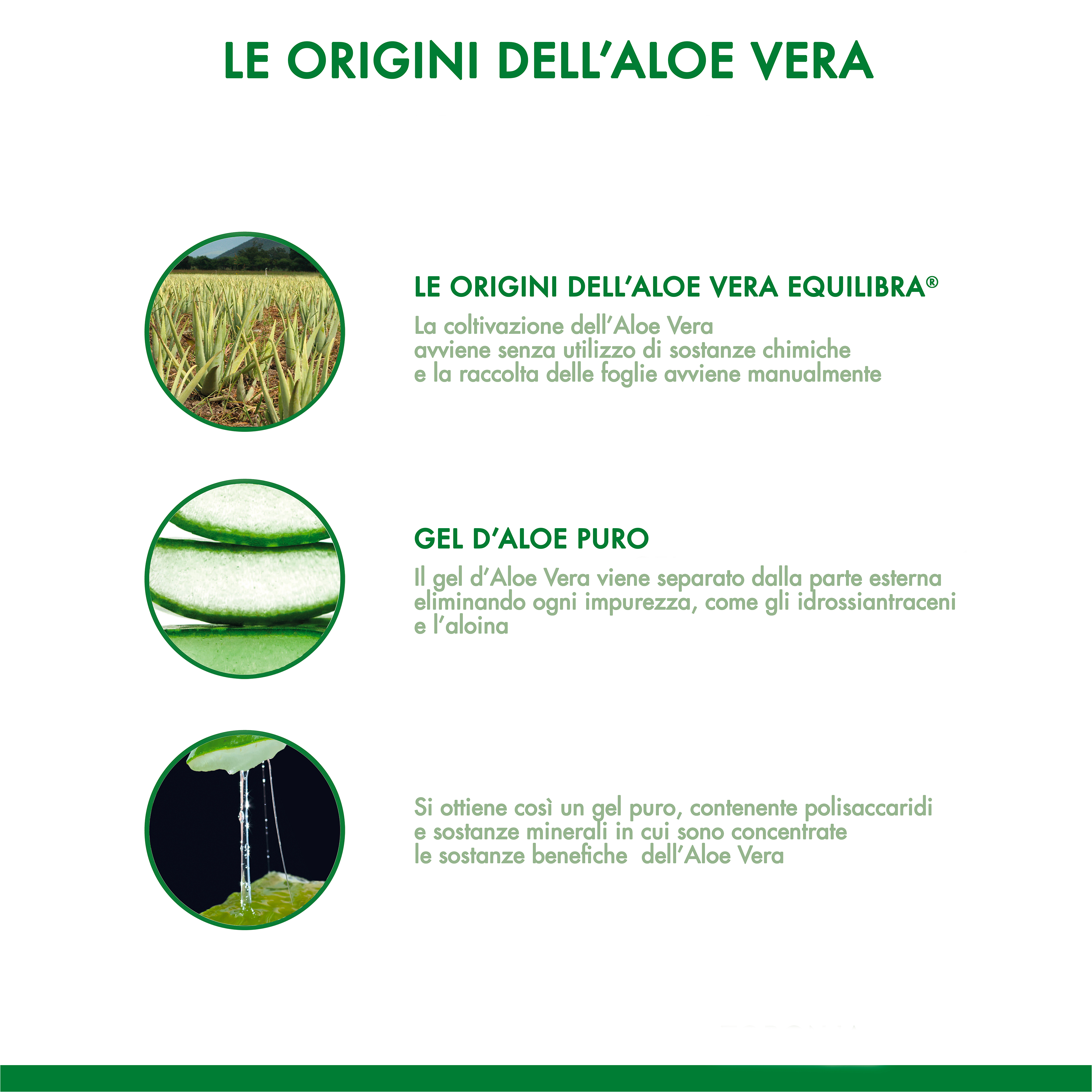 Buon Aloe Vera 95%